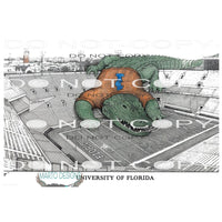 florida gators stadium # 7723 Hand Drawn Sublimation