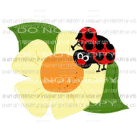 Lady Bug Flower Sublimation transfers Heat Transfer