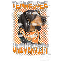 Tennessee # 1111 Sublimation transfers - Heat Transfer