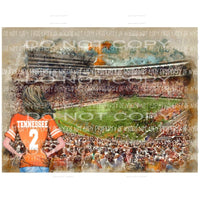 Tennessee Vols Girl Stadium Sublimation transfers Heat Transfer