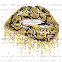 ucf lips sublimation transfers Heat Transfer