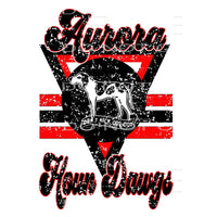 Aurora Houn Dawgs # 6623 Sublimation transfers - Heat