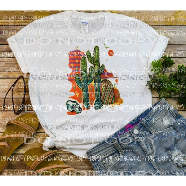 cactus desert Sublimation transfers Heat Transfer