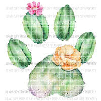 Cactus Paw Sublimation transfers Heat Transfer