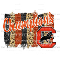 Champions Orange Paint pallet Sublimation transfers Heat Transfer