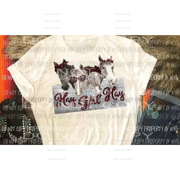 Hay Girl Hay Horses sublimation transfer Heat Transfer