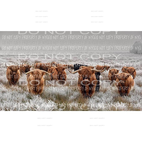 highland cattle Sublimation transfers Heat Transfer