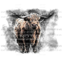 Highland cow Sublimation transfers Heat Transfer