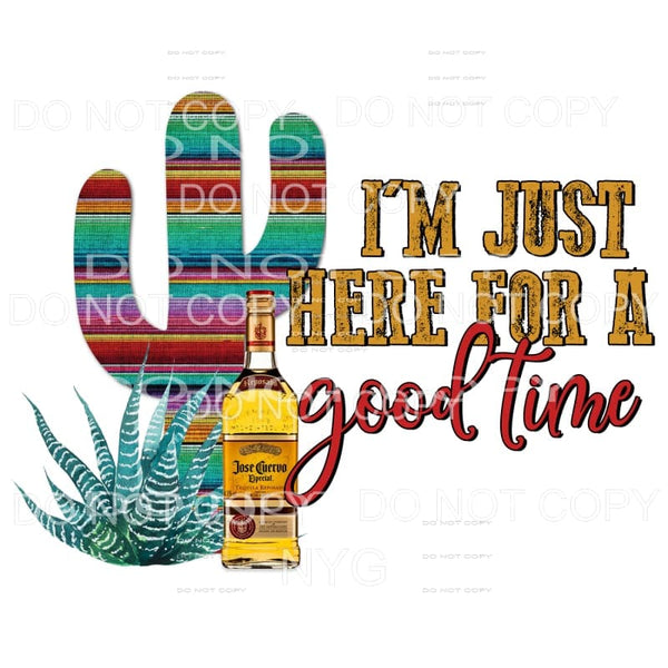 I’m Just Here For A Good Time Serape Cactus Liquor Bottle 