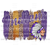 Indians Paint Pallet Purple and gold Sublimation transfers Heat Transfer