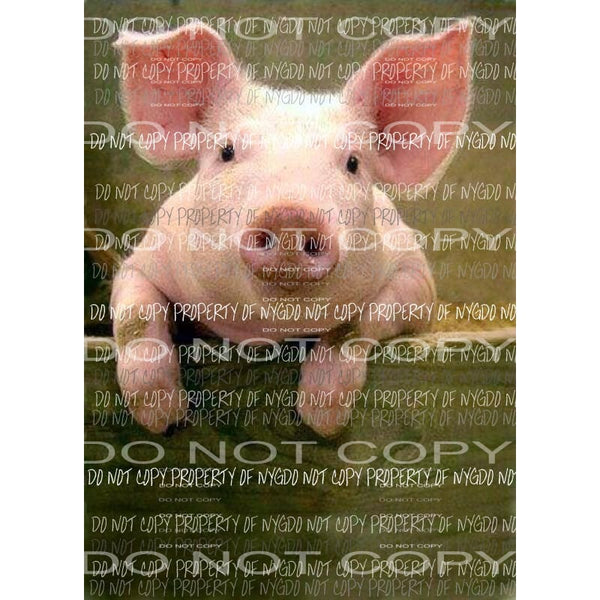 Pig 403 sublimation transfer Heat Transfer