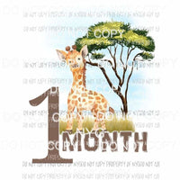 Safari 1 Month giraffe Sublimation transfers Heat Transfer