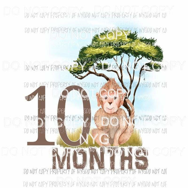 Safari 10 Months monkey Sublimation transfers Heat Transfer