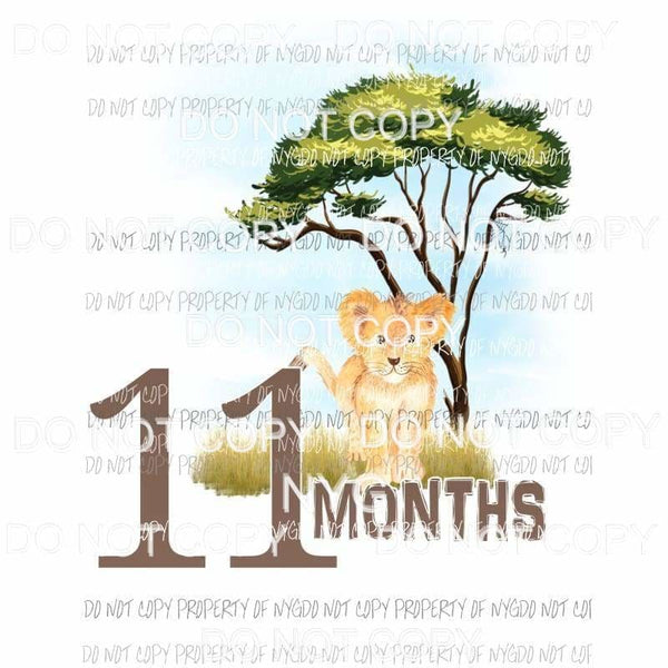 Safari 11 Months lion Sublimation transfers Heat Transfer