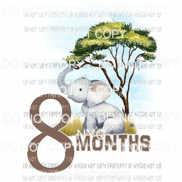 Safari 8 Months elephant Sublimation transfers Heat Transfer