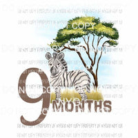 Safari 9 Months zebra Sublimation transfers Heat Transfer