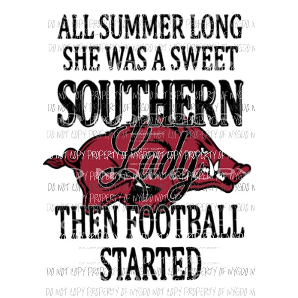 Southern Lady Razorbacks Football Sublimation transfers Heat Transfer