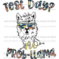 Test Day No Prob llama Sublimation transfers Heat Transfer